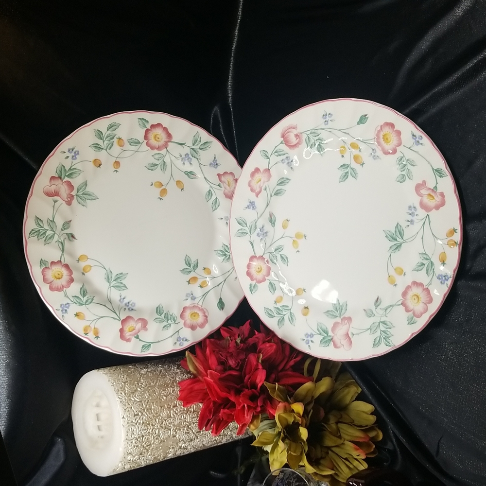 Churchill Briar Rose Dinner Plates